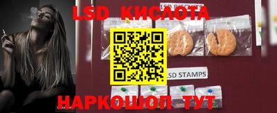 прущие грибы Партизанск