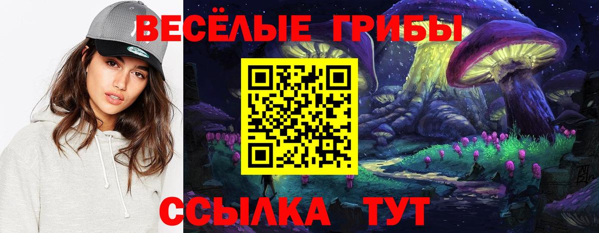 Галлюциногенные грибы Magic Shrooms  Галлюциногенные грибы ЛСД  Вход с VPN  Томск 