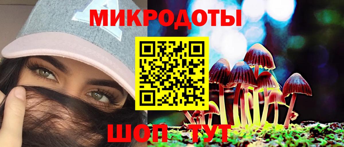 Псилоцибиновые грибы Psilocybine cubensis Томск